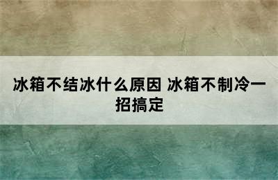 冰箱不结冰什么原因 冰箱不制冷一招搞定